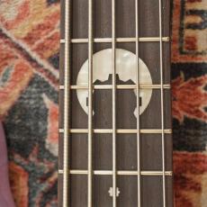 SCHECTER BanG Dream! Collaboration Series BC-AveMujica/Timoris_6