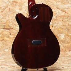 Godin Multiac Steel Duet Ambiance 2016_2