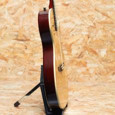 Godin Multiac Steel Duet Ambiance 2016_4