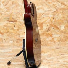 Godin Multiac Steel Duet Ambiance 2016_5