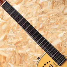 Godin Multiac Steel Duet Ambiance 2016_6