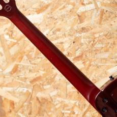 Godin Multiac Steel Duet Ambiance 2016_7