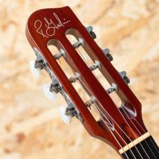 Godin Multiac Steel Duet Ambiance 2016_8