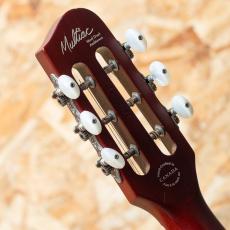 Godin Multiac Steel Duet Ambiance 2016_9