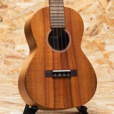 Martin T1K 2020's