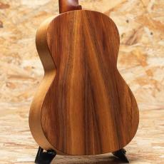 Martin T1K 2020's_2