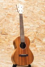 Martin T1K 2020's_3