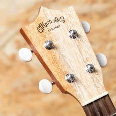 Martin T1K 2020's_4