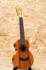 G String Hawaiian Koa Concert 2000's_3