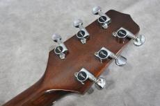 Takamine PT-106 BS_7