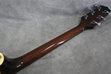 Takamine PT-106 BS_8