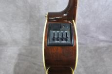 Takamine PT-106 BS_9
