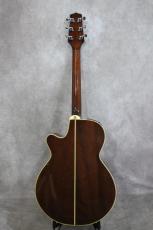 Takamine PT-106 BS_11