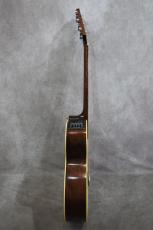 Takamine PT-106 BS_12