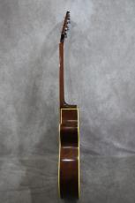 Takamine PT-106 BS_13