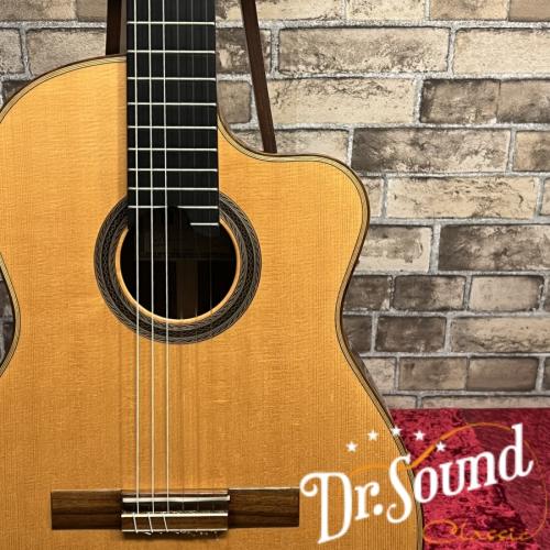 Hill Guitar Company ヒル・ギター　Curva Negra  w/M-Factory 2001年製【中古】 
