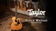 Taylor 114ce Walnut 2017【Taylor公認 リペアマン在籍店】