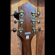 Epiphone Masterbilt DR-400MCE_6
