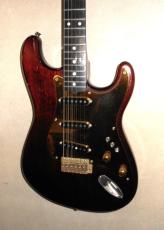 SCHECTER Custom order _2