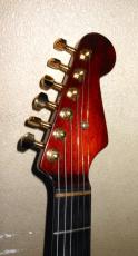 SCHECTER Custom order _3