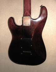 SCHECTER Custom order _5