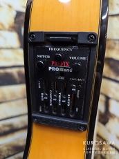 Cordoba コルドバ 2002年製 FCWE Gipsy Kings 薄ボディフラメンコエレガット 【日本総本店2F 在庫品】_11