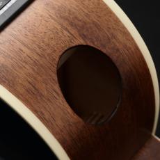 Ibanez 【アウトレット特価!】 AE100-DBF 【エレアコ】【A.I.R.port搭載】【買取・下取強化中!】_7