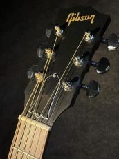 Gibson 【NEW】 J-45 Special ~Wine Red~ #21416112 [2026年製] _4