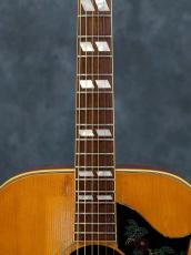 Gibson 1968 DOVE Natural_5