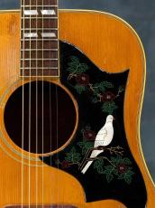 Gibson 1968 DOVE Natural_7