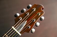 Echizen Guitars R2 プレミアム・ブラック・ブラジリアンローズウッド_2