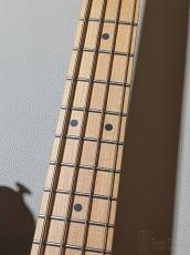 FUJIGEN J-Standard Series JMJ2B-ASH-M -Open Pore Black- #K240548【5.17kg】_8