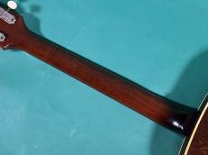 Epiphone E444T GRANADA _8