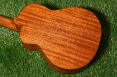 aNueNue UT100 Tenor_2