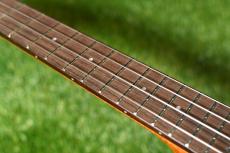 aNueNue UT100 Tenor_7