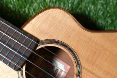 aNueNue UT100 Tenor_9