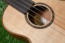 aNueNue UT100 Tenor_10