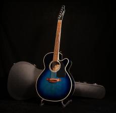 Takamine TDP500-6 DBS【限定250本 シングルヘッド! ダークブルーサンバーストカラーがステージ映えします! ファンの方も必見です!】