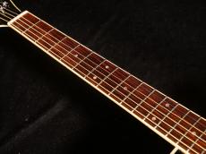 Takamine TDP500-6 DBS【限定250本 シングルヘッド! ダークブルーサンバーストカラーがステージ映えします! ファンの方も必見です!】_9