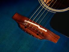 Takamine TDP500-6 DBS【限定250本 シングルヘッド! ダークブルーサンバーストカラーがステージ映えします! ファンの方も必見です!】_11