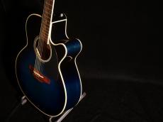 Takamine TDP500-6 DBS【限定250本 シングルヘッド! ダークブルーサンバーストカラーがステージ映えします! ファンの方も必見です!】_16