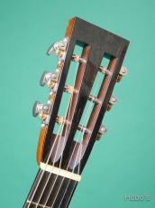 Collings DS-1 A HILL COUNTORY_3