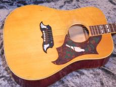 Gibson Dove '70_3