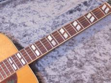 Gibson Dove '70_6