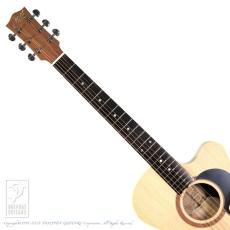 Maton Performer_6