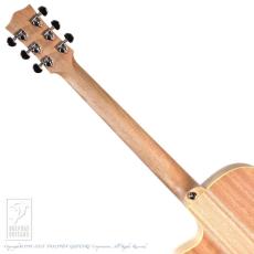 Maton Performer_7