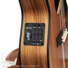 Maton EMBW6 (Mini Maton)_13