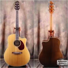 Breedlove AD25/SR PLUS