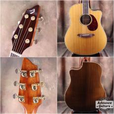 Breedlove AD25/SR PLUS_2