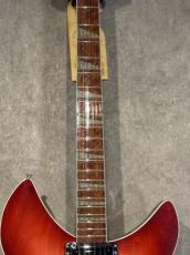 Rickenbacker 2006 360/12 C63 ファーストロッド!!_6
